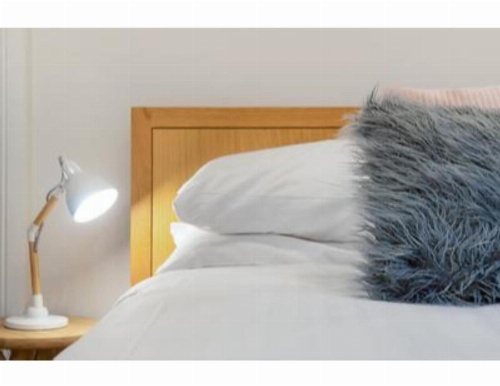 Elegant Renovated Terrace Close To City image 27